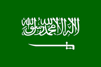 .com.sa沙特阿拉伯域名