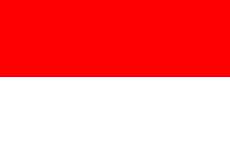 .id印度尼西亚域名